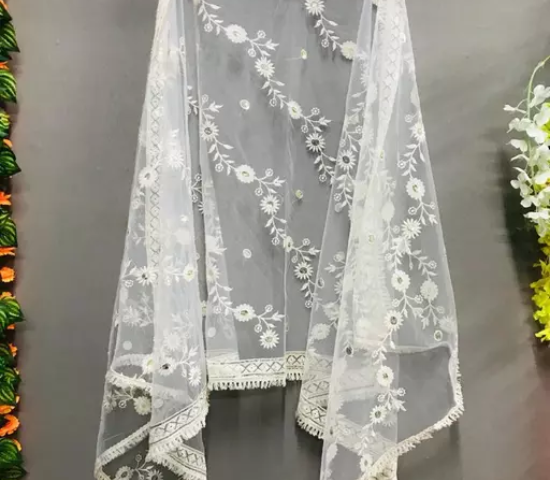 Service Provider of Fancy Dupatta Dry Clean in Ghaziabad, Uttar Pradesh, India.